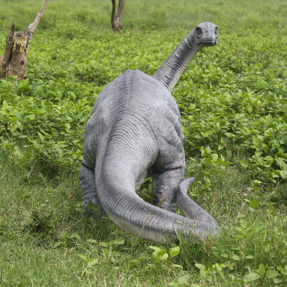 Natureworks Australia Apatosaurus definitive dinosaur - 110037 - shown outside