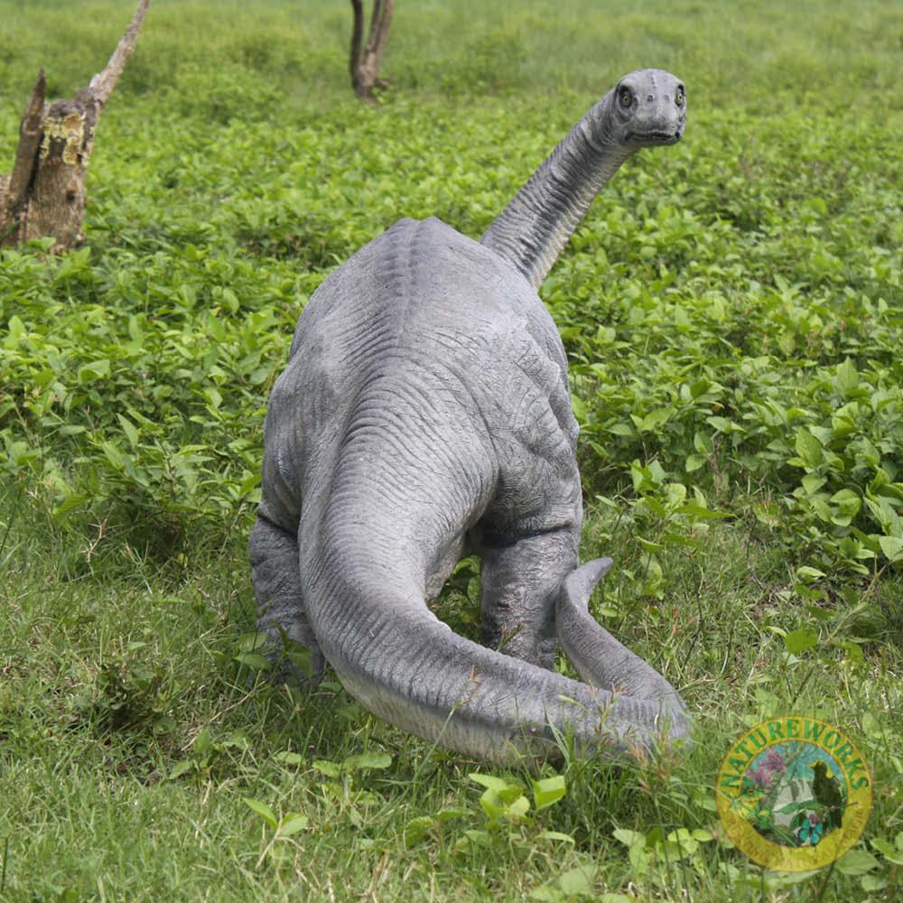Natureworks Australia Apatosaurus definitive dinosaur - 110037 - shown outside