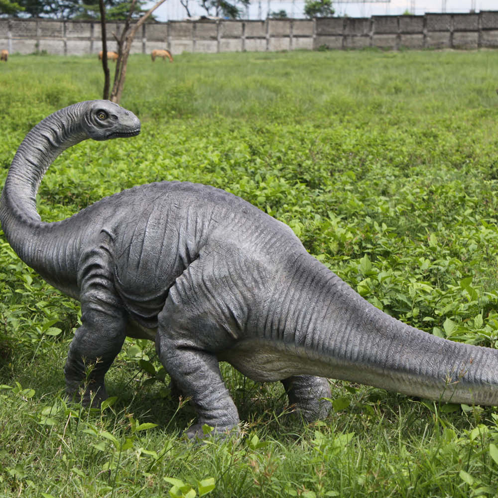 Natureworks Australia Apatosaurus definitive dinosaur - 110037 - - shown outside - side view