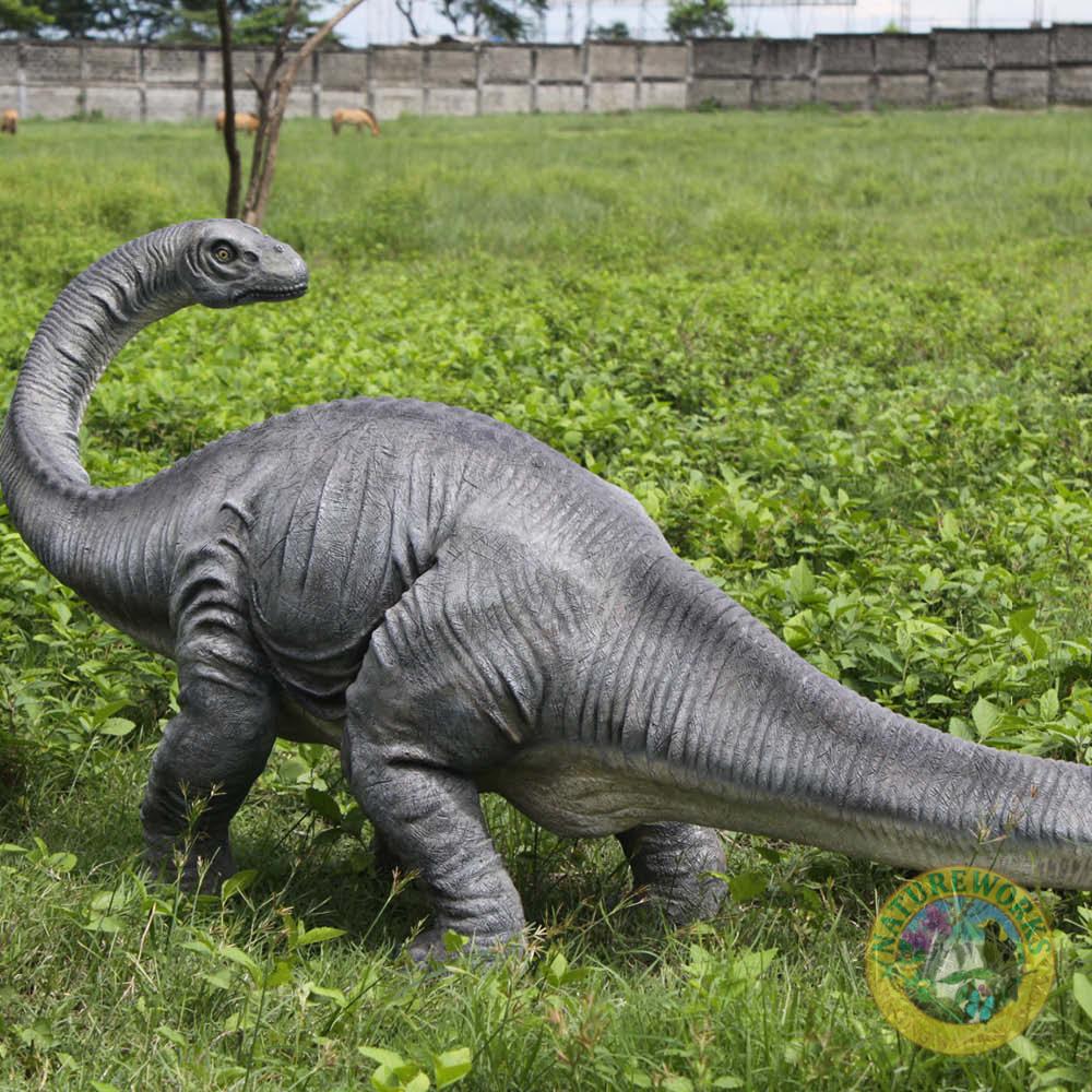Natureworks Australia Apatosaurus definitive dinosaur - 110037 - - shown outside - side view