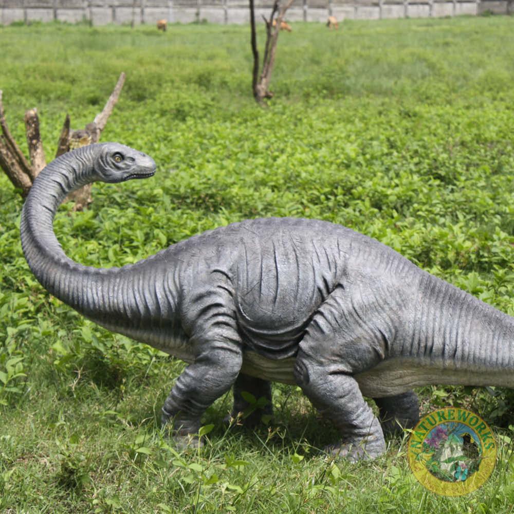 Natureworks Australia Apatosaurus Definitive Dinosaur - Image 6