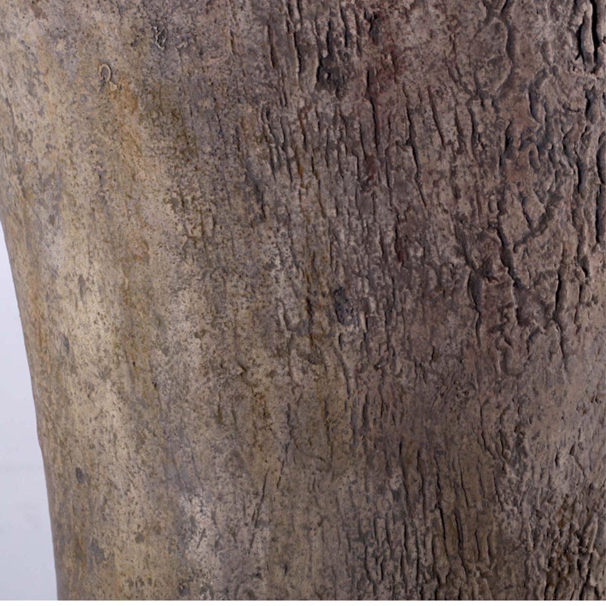 Natureworks Australia Apatasaurus Femur Fossil Bone on metal base - 140058- close up of sculpture detail