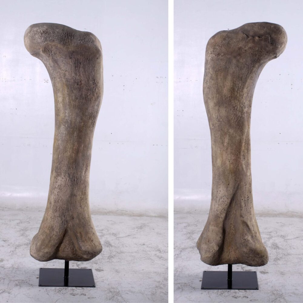 Apatasaurus Femur Fossil Bone on metal base - 140058 - show reverse views