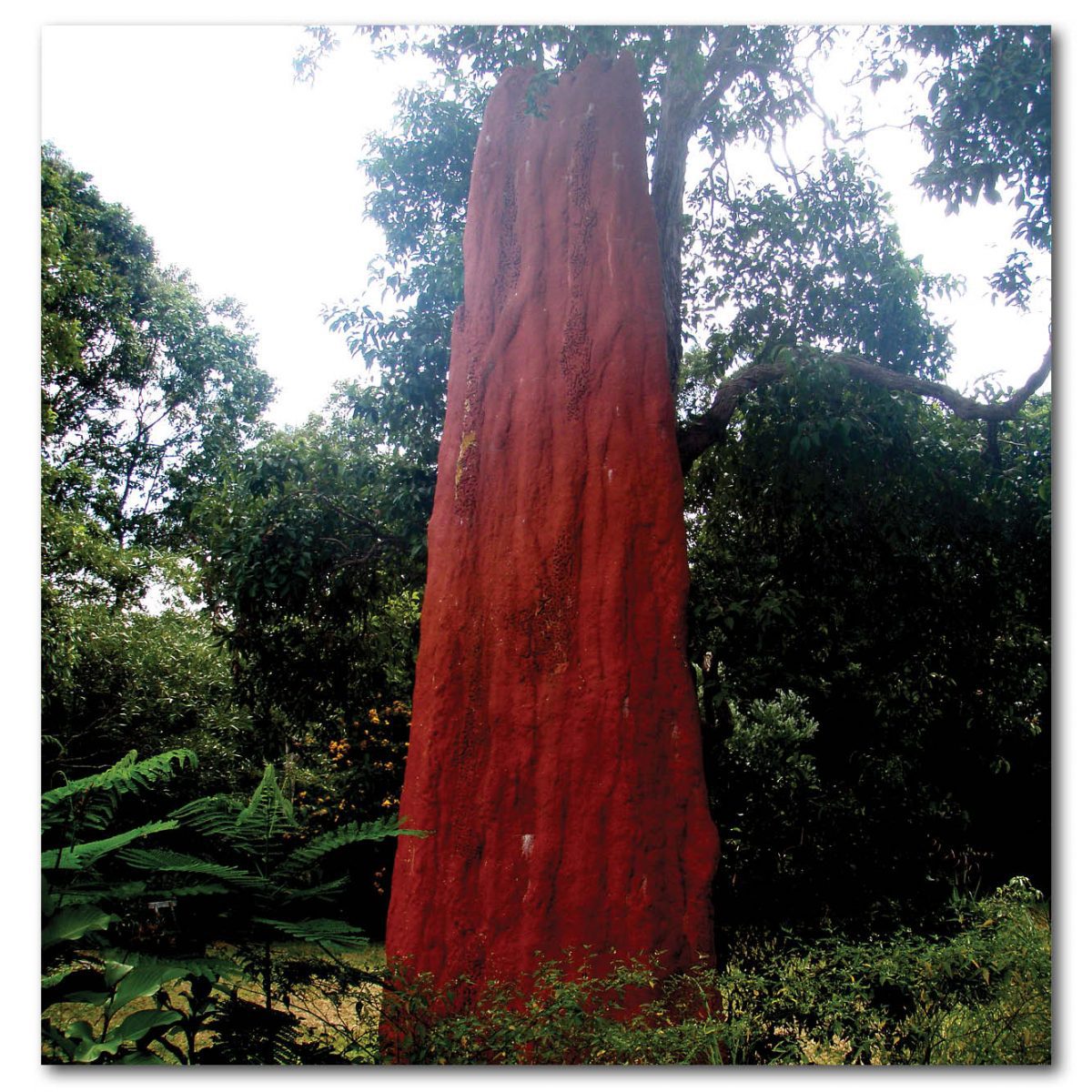 Natureworks Australia Artificial Rockwork Custom Projects Giant Termite Mound Sydney Product Image px px