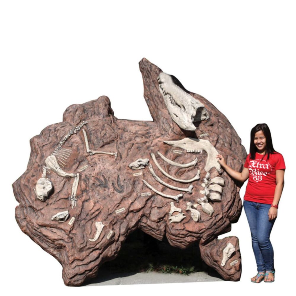 Australian Teriary mammal fossil dig Product Image  px px