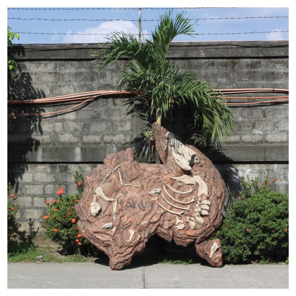 Australian Teriary mammal fossil dig Product Image px px