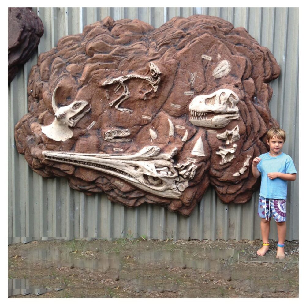 Australian Teriary mammal fossil dig Product Image  px px