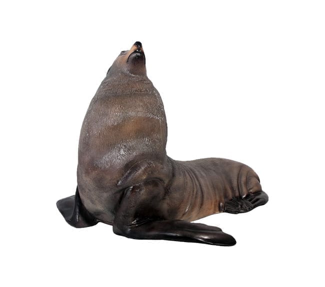 Australian Fur Seal Replica Male