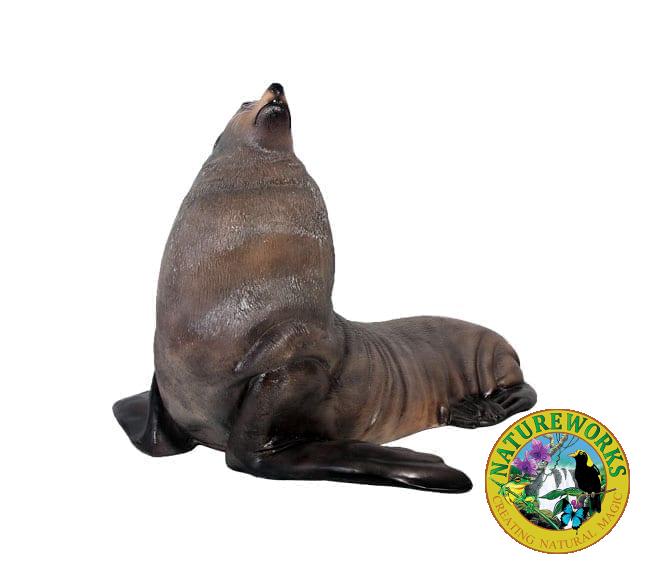 Australian Fur Seal Replica Male