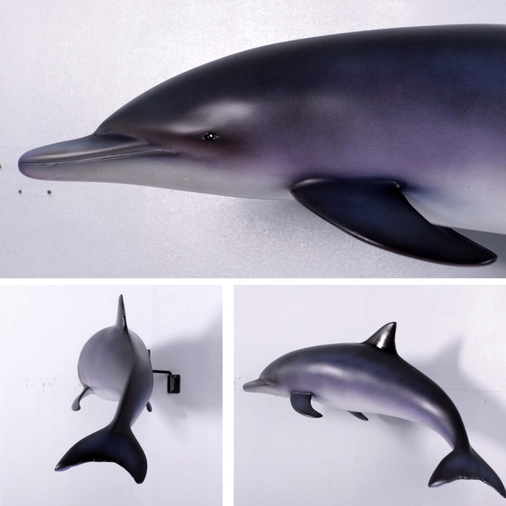 Baby Dolphin - bottlenosed - wall decor - sku 120062- showing various views
