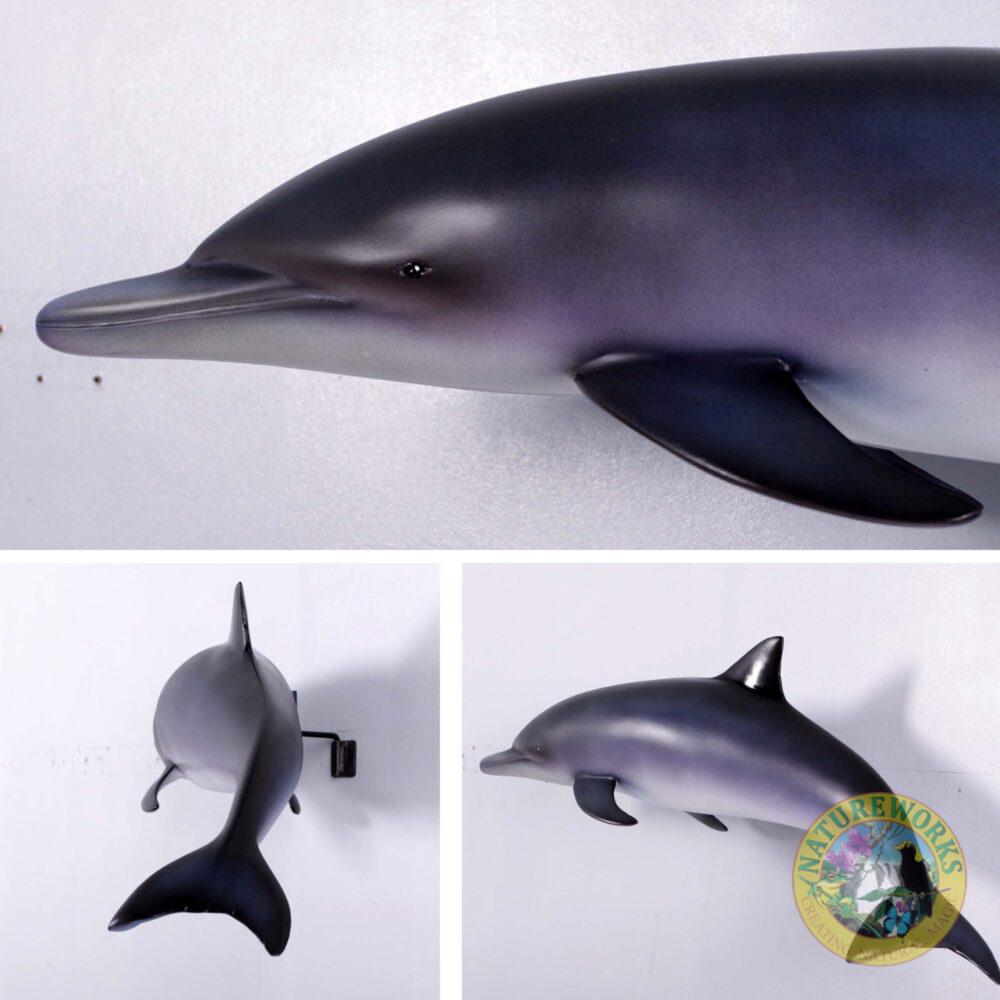 Natureworks Australia Baby Dolphin - bottlenosed - wall decor - sku 120062- showing various views