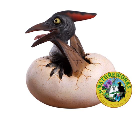 Natureworks Australia Pteranodon baby hatching- Side view 140037