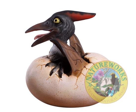 Natureworks Australia Pteranodon baby hatching- Side view 140037