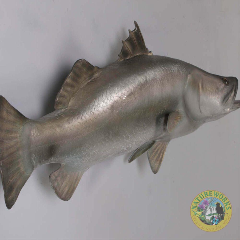 Natureworks Australia Barramundi Fish - Wall decor mount - angle view - shown mounted on wall - SKU: 100102