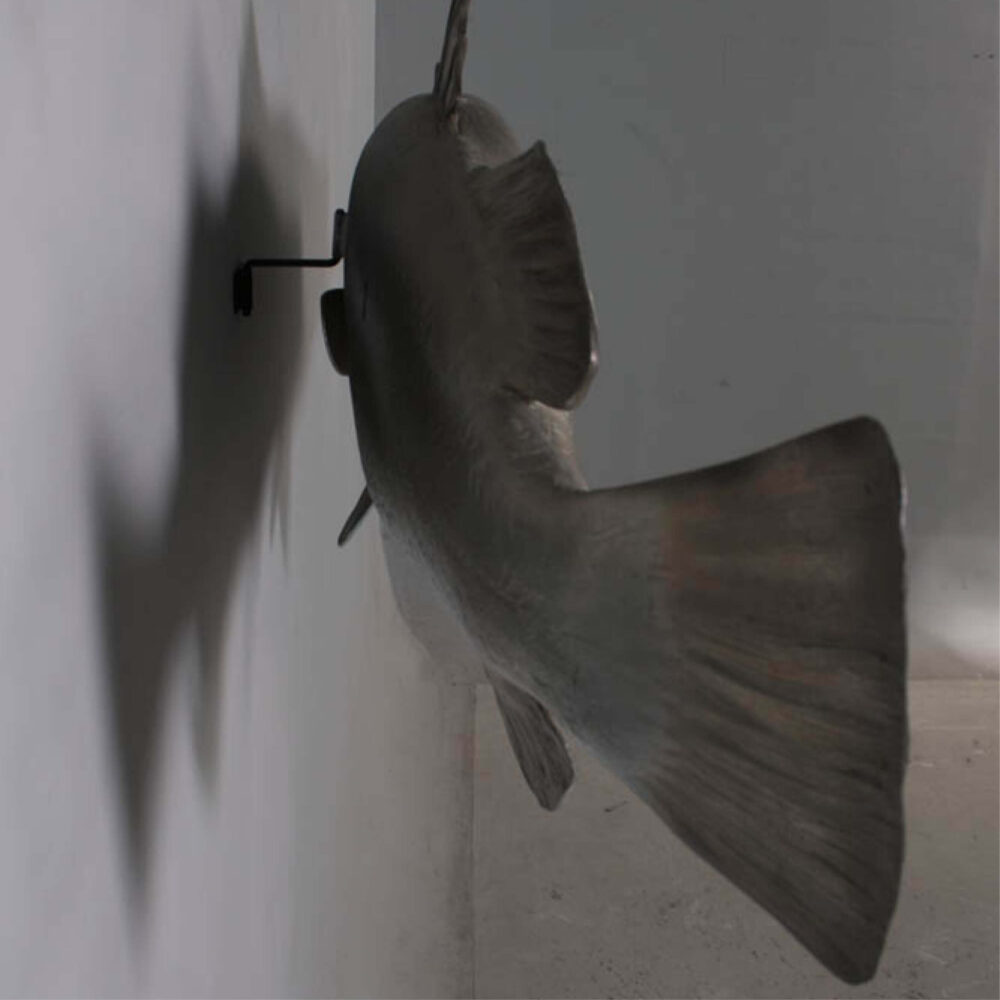 Barramundi Fish - Wall decor mount - rear view - shown mounted on wall - SKU: 100102