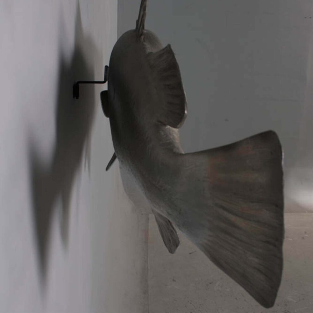 Natureworks Australia Barramundi Fish - Wall decor mount - rear view - shown mounted on wall - SKU: 100102