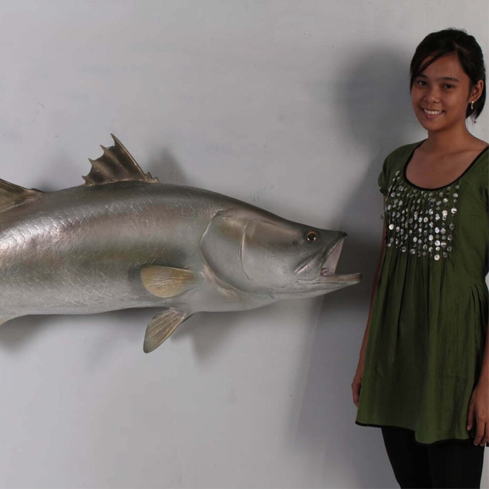 Natureworks Australia Barramundi Fish - Wall decor mount - side view - shown mounted on wall with lady for a size comparison- SKU: 100102