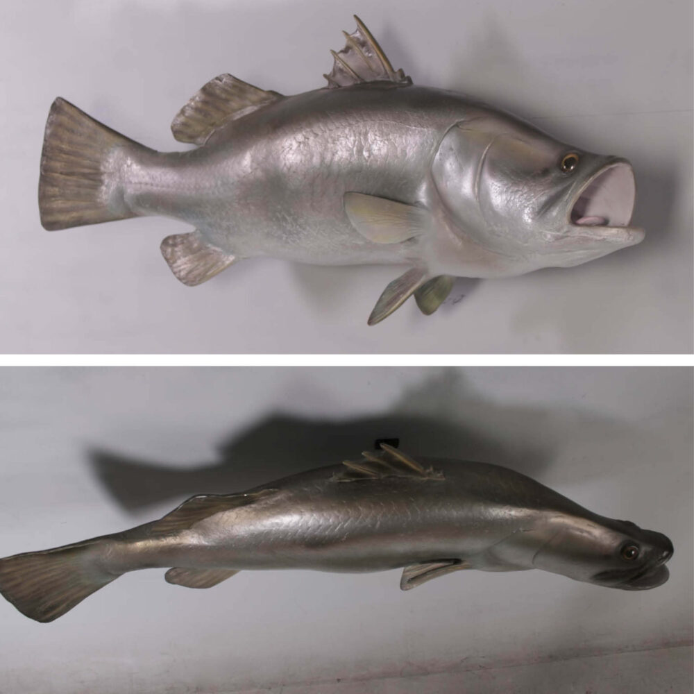 Barramundi Fish - Wall decor mount - side and top view mounted on wall - SKU: 100102