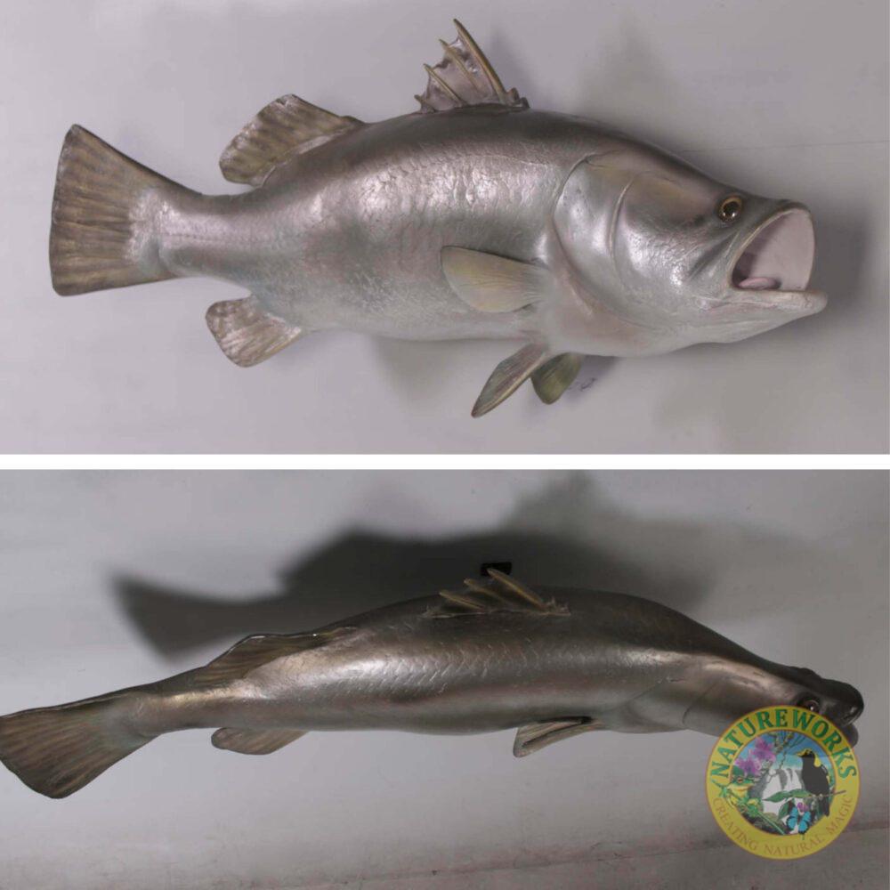 Natureworks Australia Barramundi Fish - Wall decor mount - side and top view mounted on wall - SKU: 100102