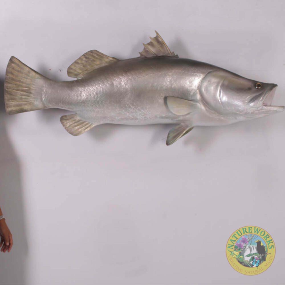 Natureworks Australia Barramundi Fish - Wall decor mount - side view - shown mounted on wall - SKU: 100102