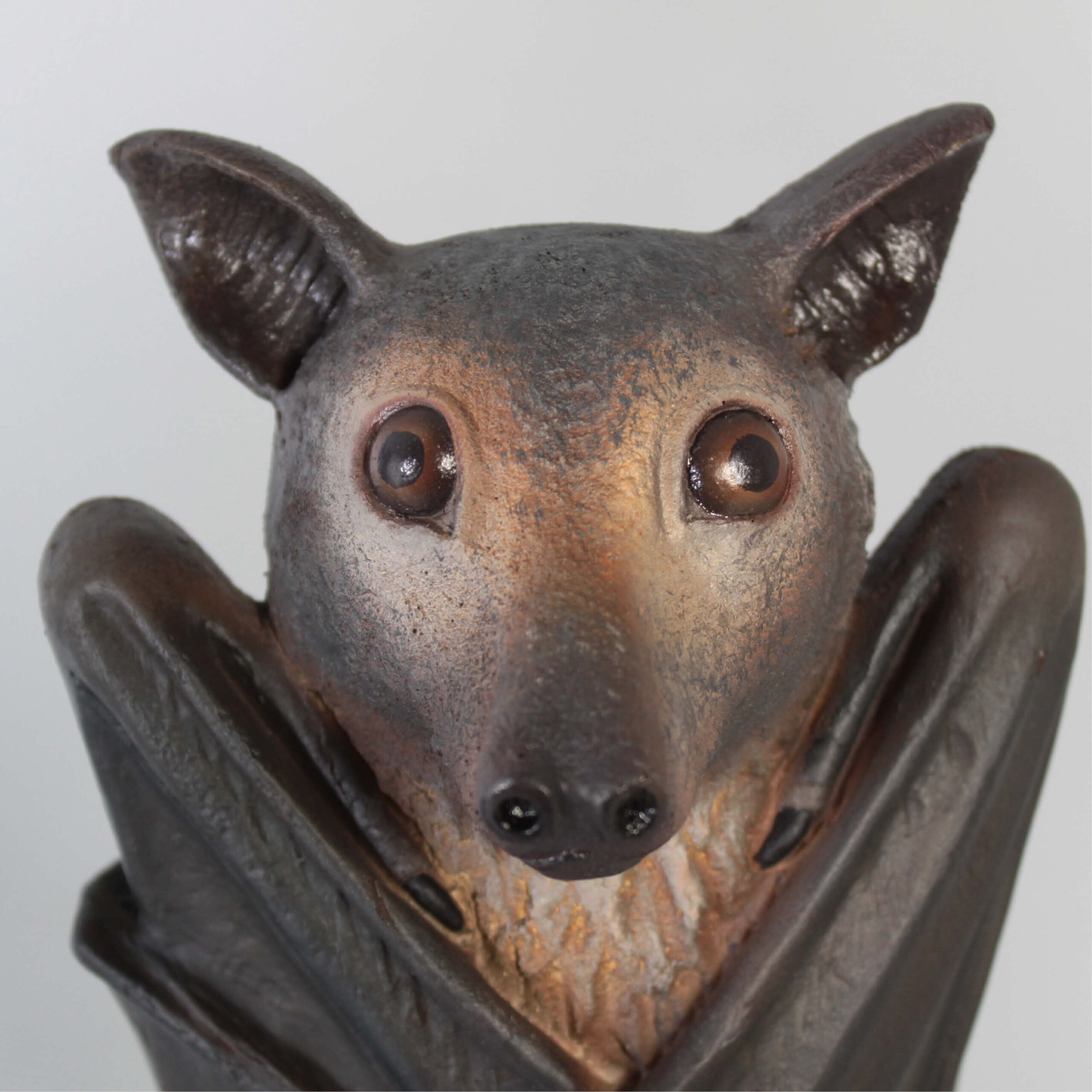 Natureworks Australia Bat-Spectacled-Flying-fox-showing close up of head detail-100119