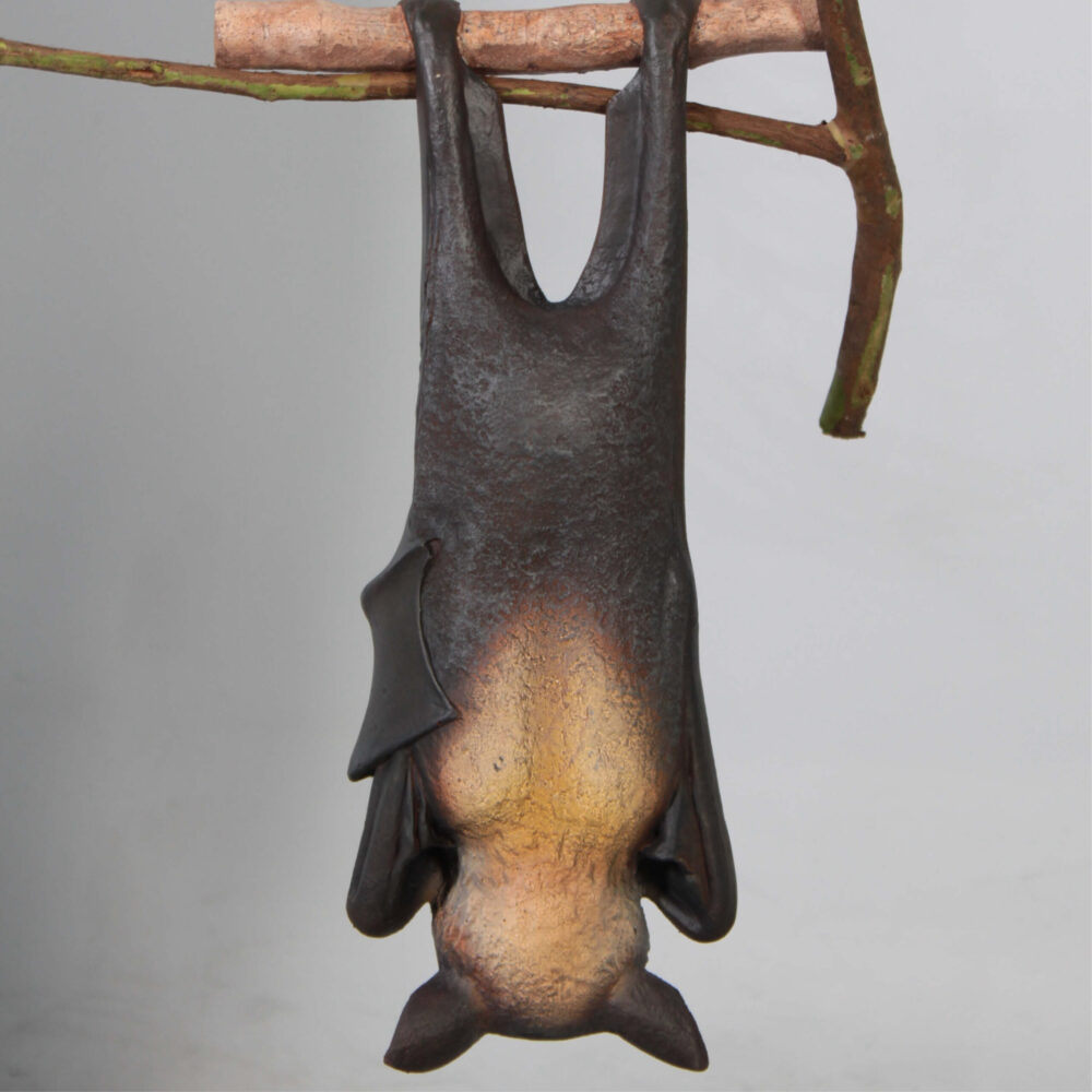 Bat-Spectacled-Flying-fox-showing rear view-100119