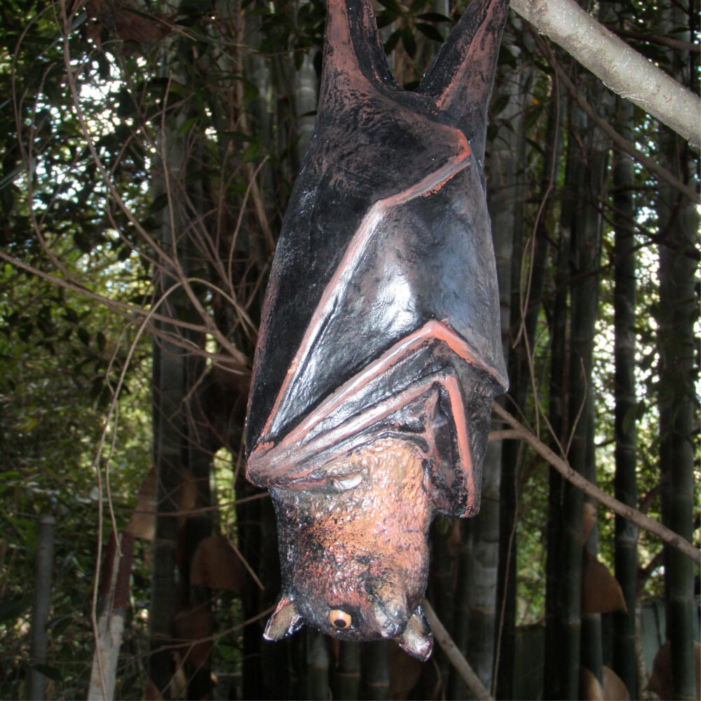 Bat-Spectacled-Flying-fox-shown-hanging-in-a tree outside -100119