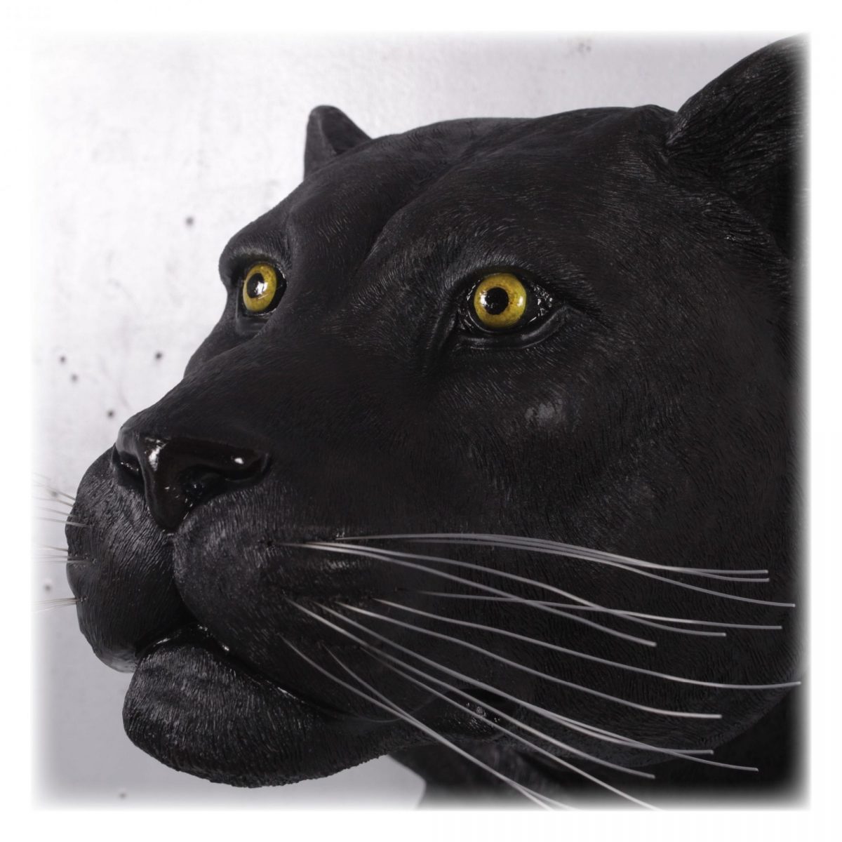 Natureworks Australia Panther WallDecor
