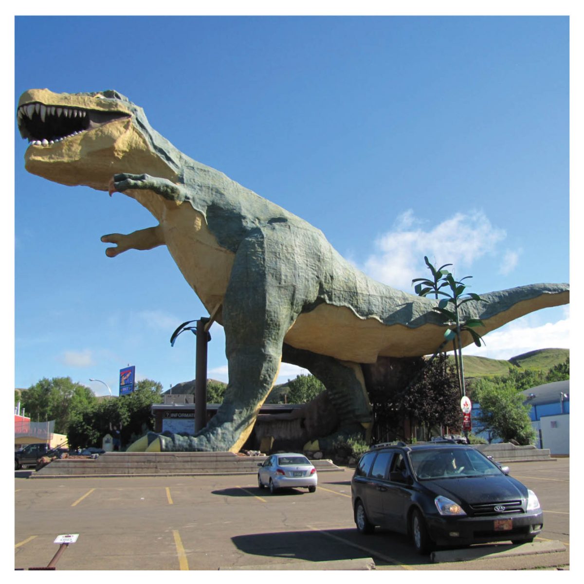 Natureworks Australia Big Things Largest Dinosaur in the World T Rex Sculpture under construction Product Gallery px px