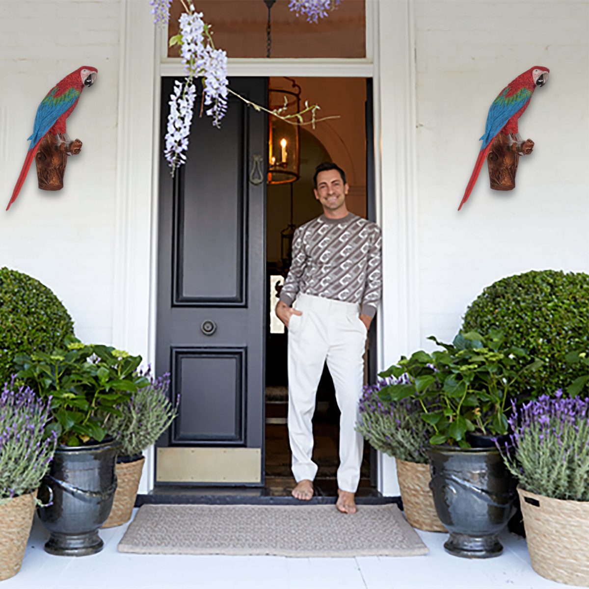 Natureworks Australia Cacaw - parrot