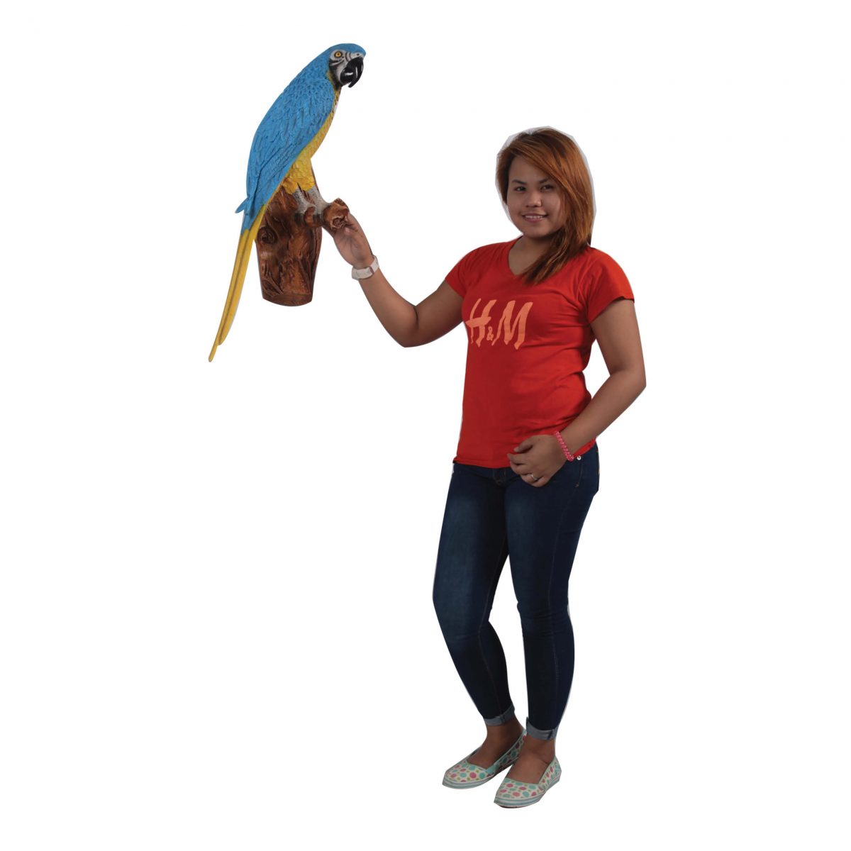 Natureworks Australia Macaw Parrot on brach - visual merchandising wall decor