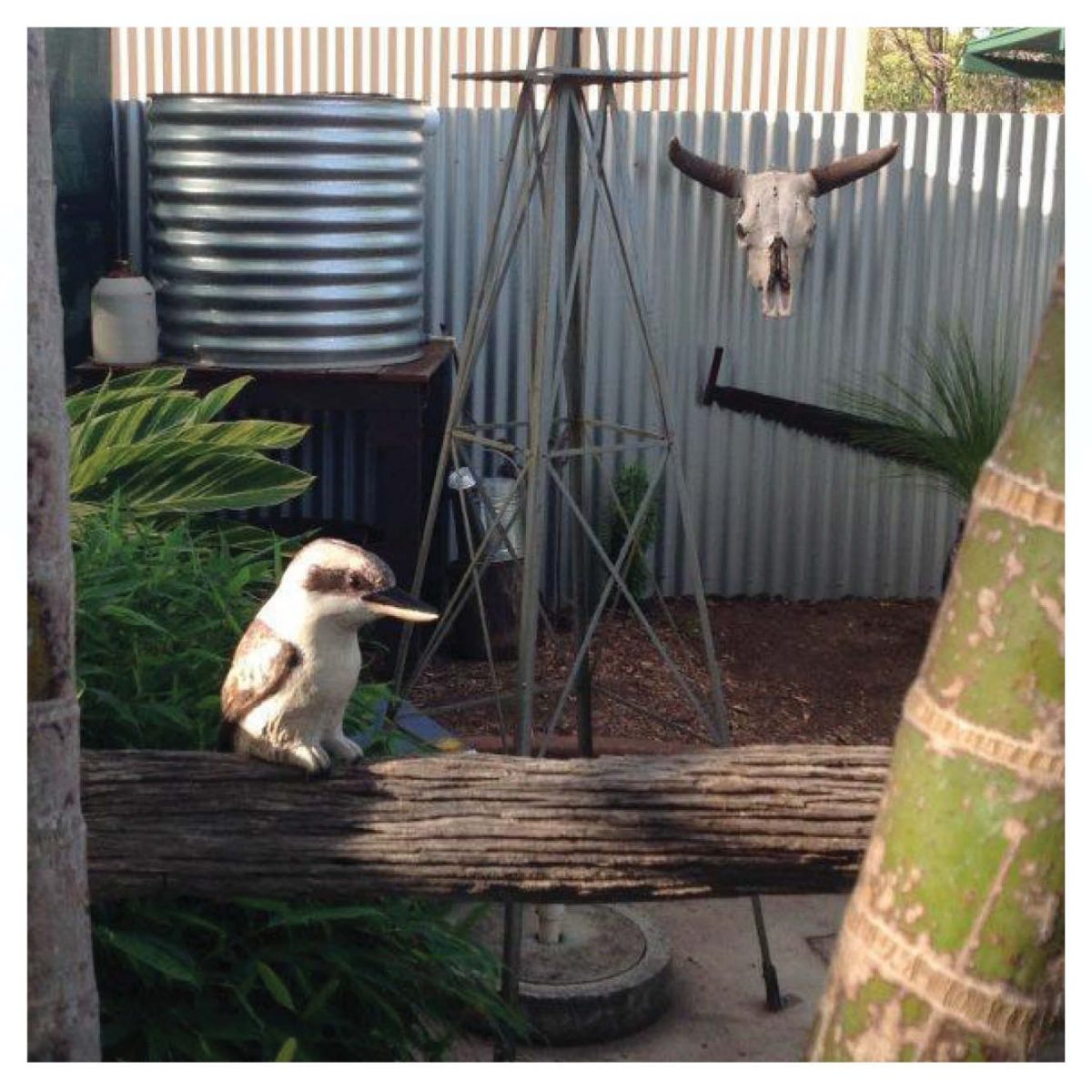 A Kookaburra on a Tree Stump Figurine 18cm Poly Resin KOOK7 9319844360517 NEW 