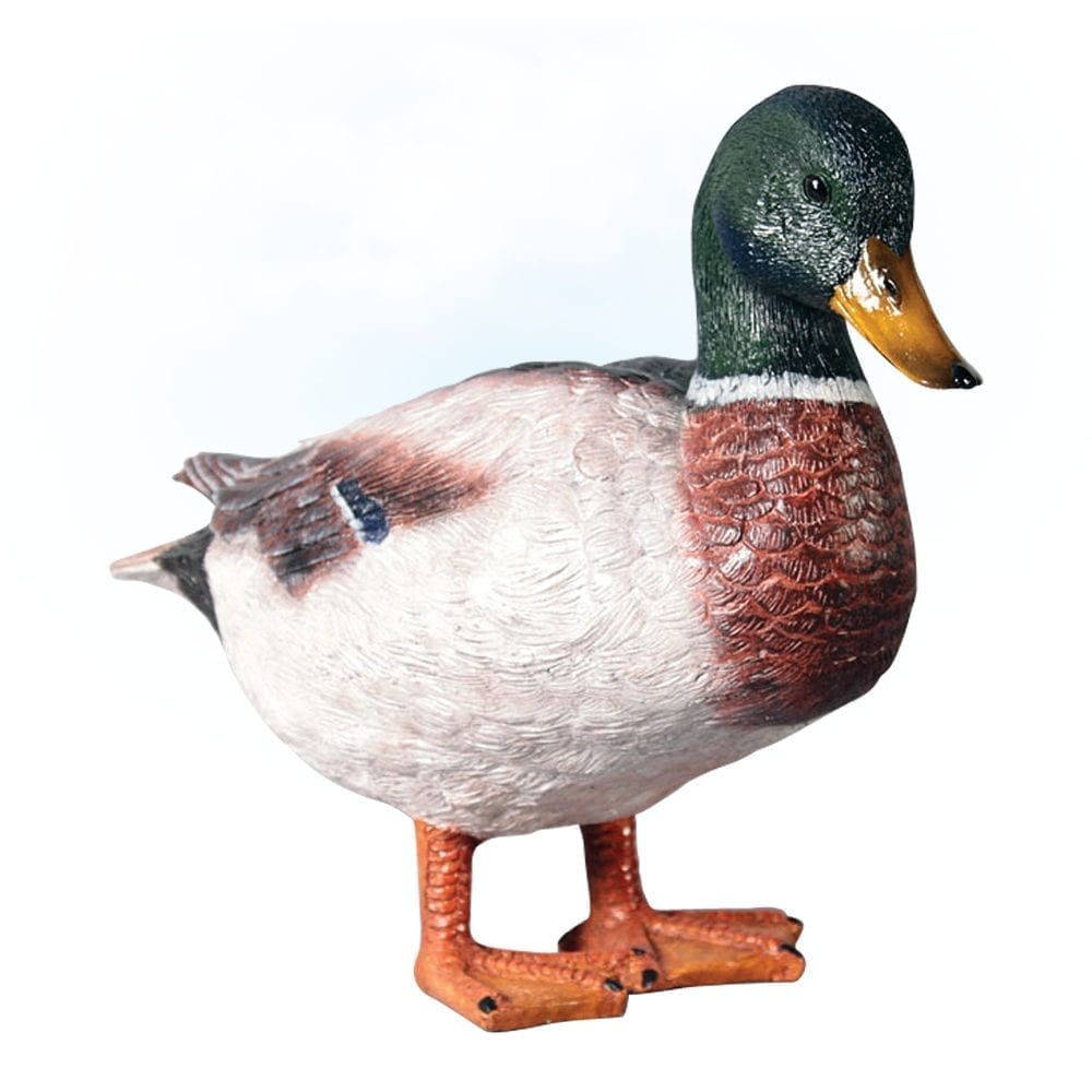 Duck  MaleMallardDuck Lifesizestatue