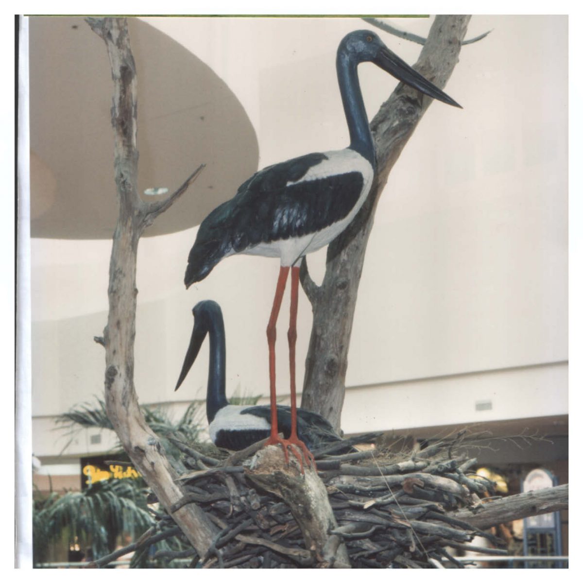 Natureworks Australia Jabiru StandingStatue outsideinnest