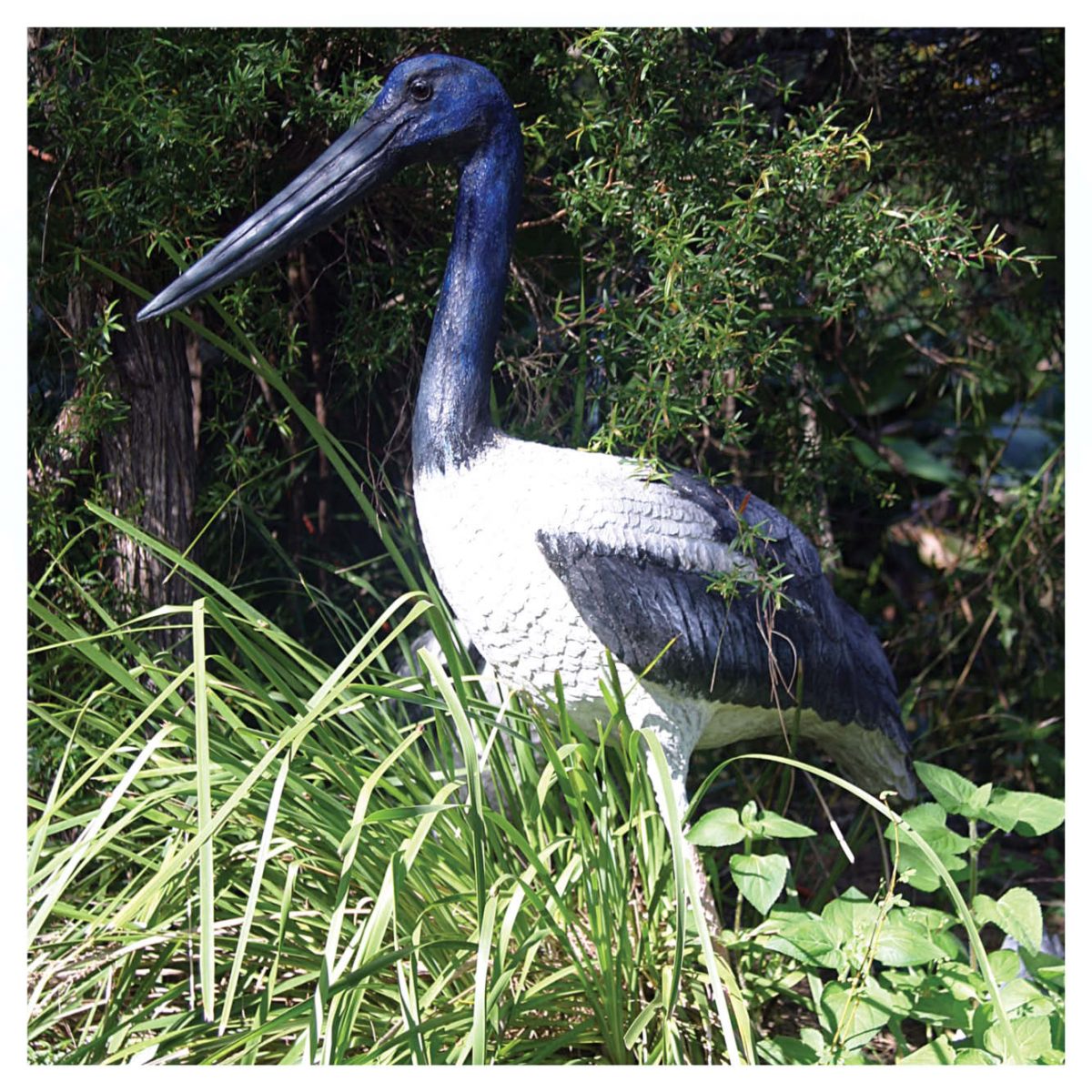 Natureworks Australia Jabiru StandingStatue outsideingrass