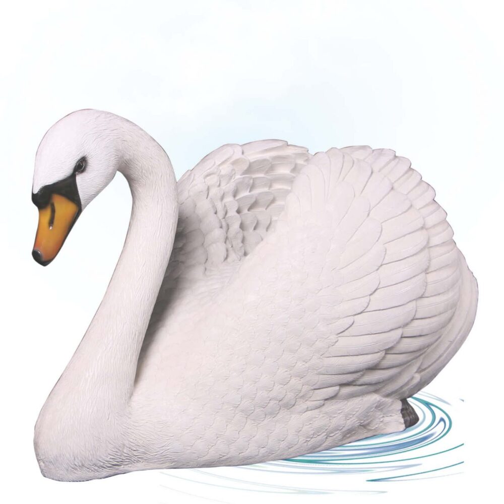 EnglishSwan LargerthanLife size