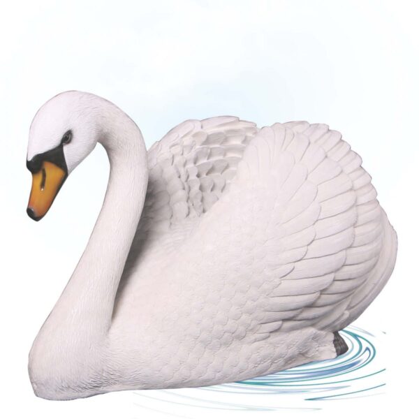 EnglishSwan LargerthanLife size
