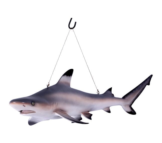 Black Tip Reef Shark Statue