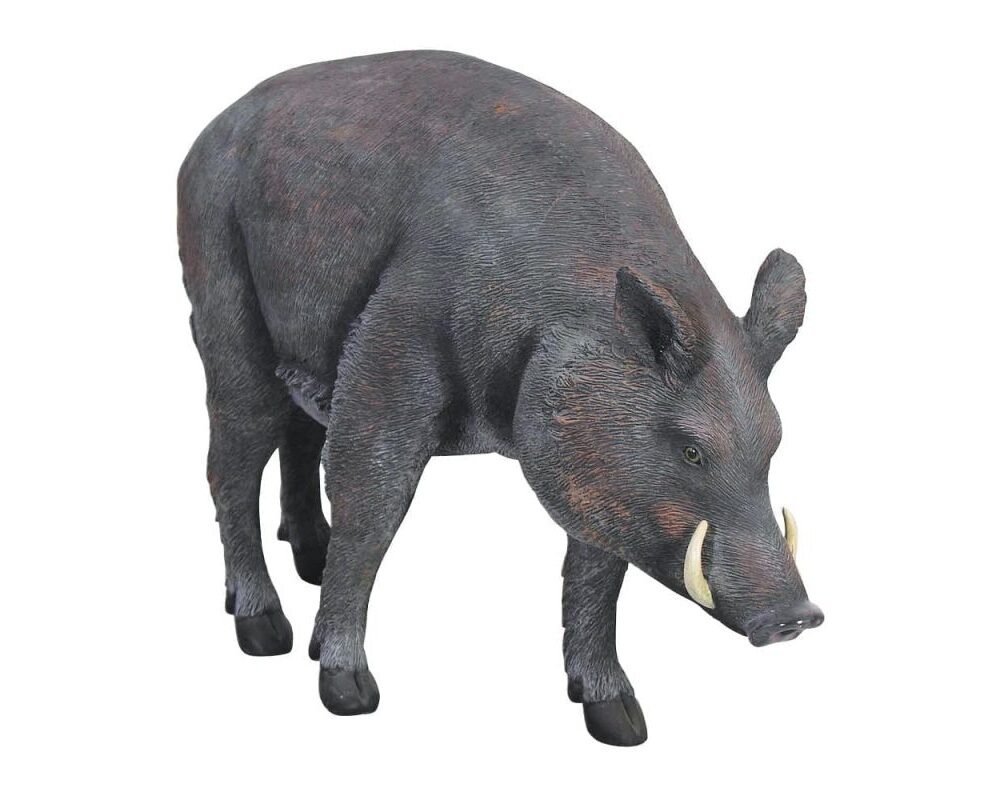 Boar Wild