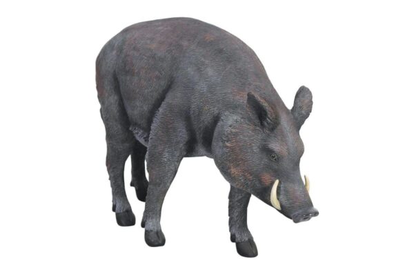 Boar Wild