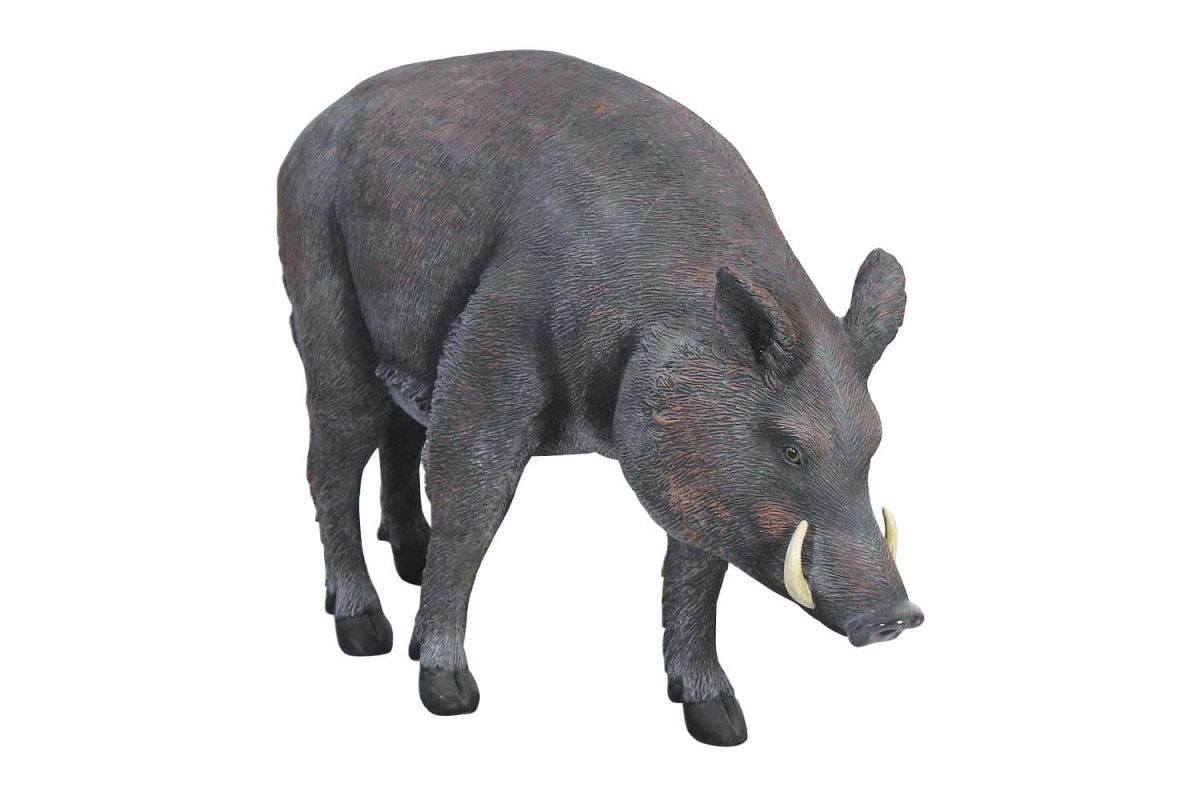 Natureworks Australia Boar Wild