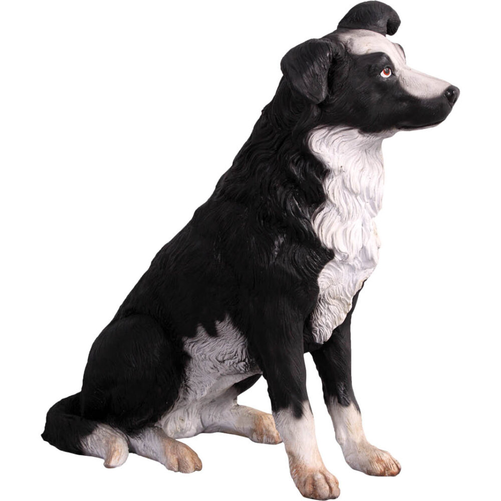Border Collie dog statue- 080070-side view