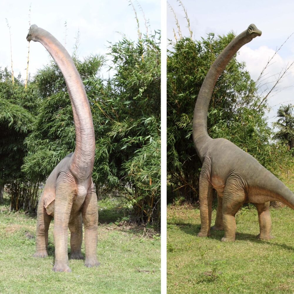 Brachiosaurus with twisted Neck_100061_showing various views