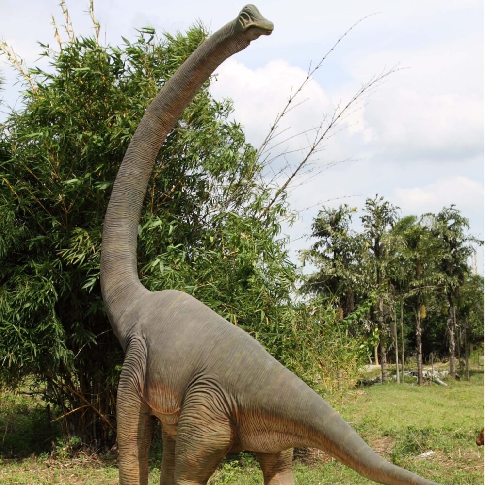 Brachiosaurus with twisted Neck_100061_Rear View