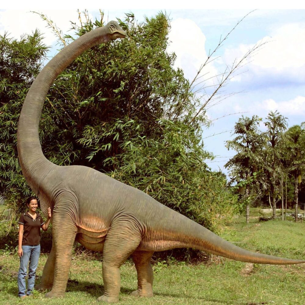 Brachiosaurus with twisted Neck_100061_side view with lady