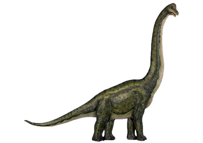 Brachiosaurus Wall Decor