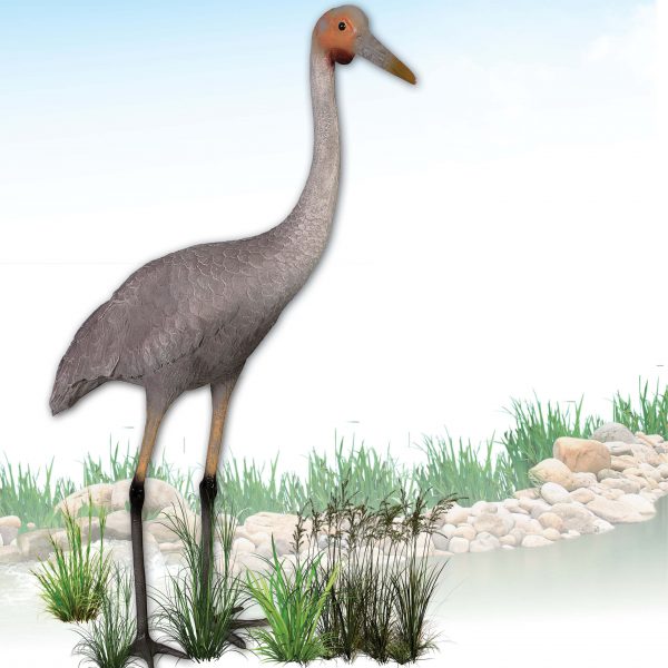 Brolga Bird statue - tall elegant Australian wetland bird - individual
