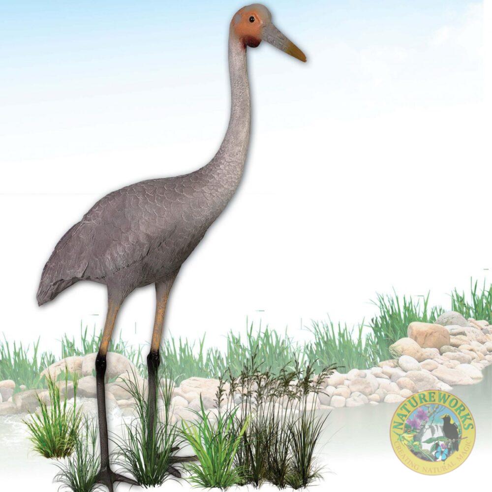 Brolga Bird statue - tall elegant Australian wetland bird - individual