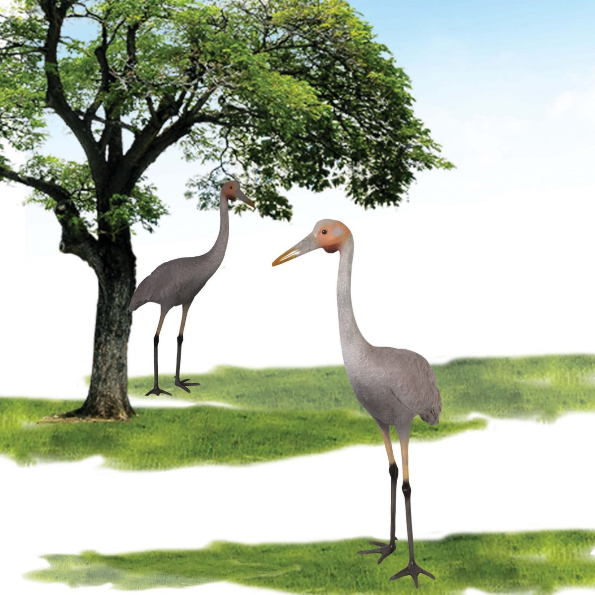 Natureworks Australia Brolga Bird statue - tall elegant Australian wetland bird