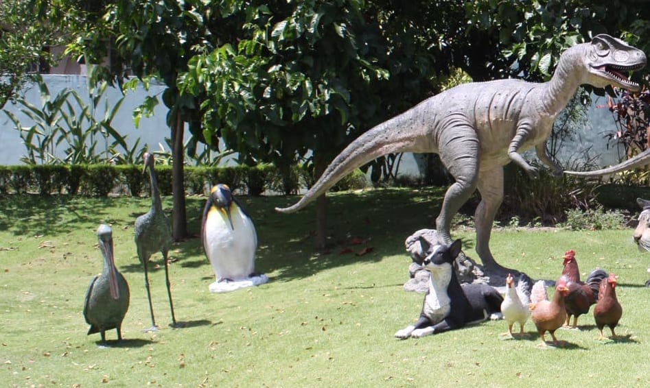 Natureworks Australia Brolga Crane GB Greenish Bronze outside with other products